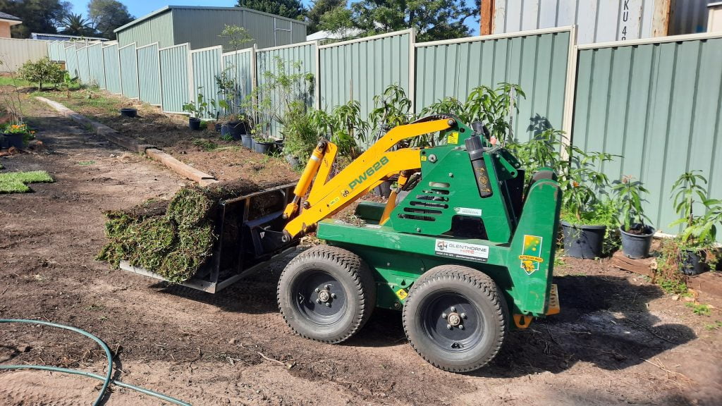 Kanga Dingo for Hire